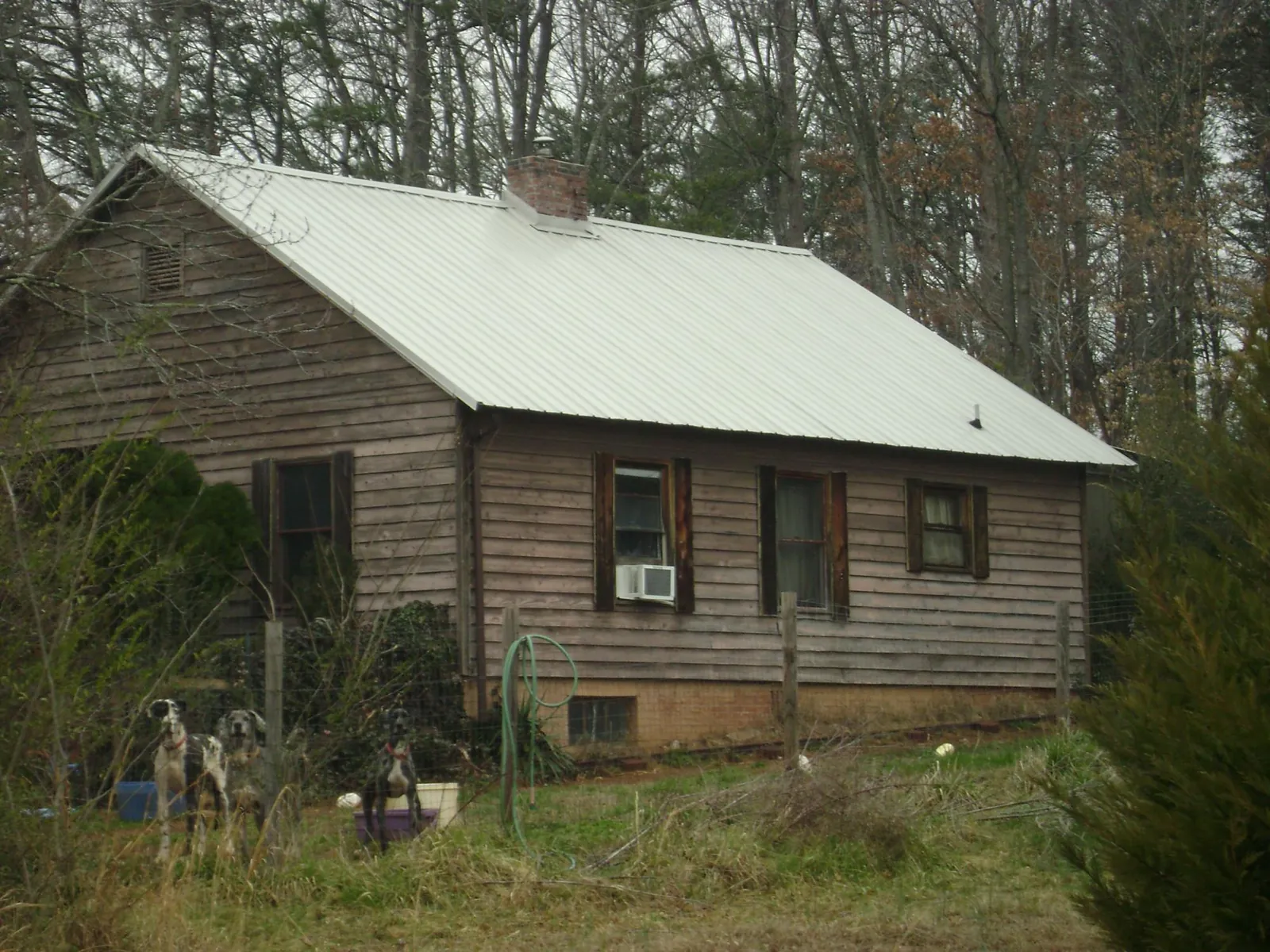 White metal roof on an old wood sided farmhouse, from a Asphalt Shingle Roof Repair job in West Creek